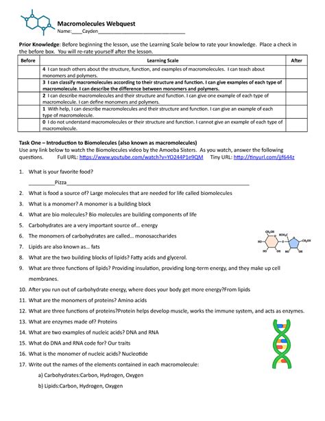 Plants then take up phosphate ions from the soil. . Macromolecules webquest answer key